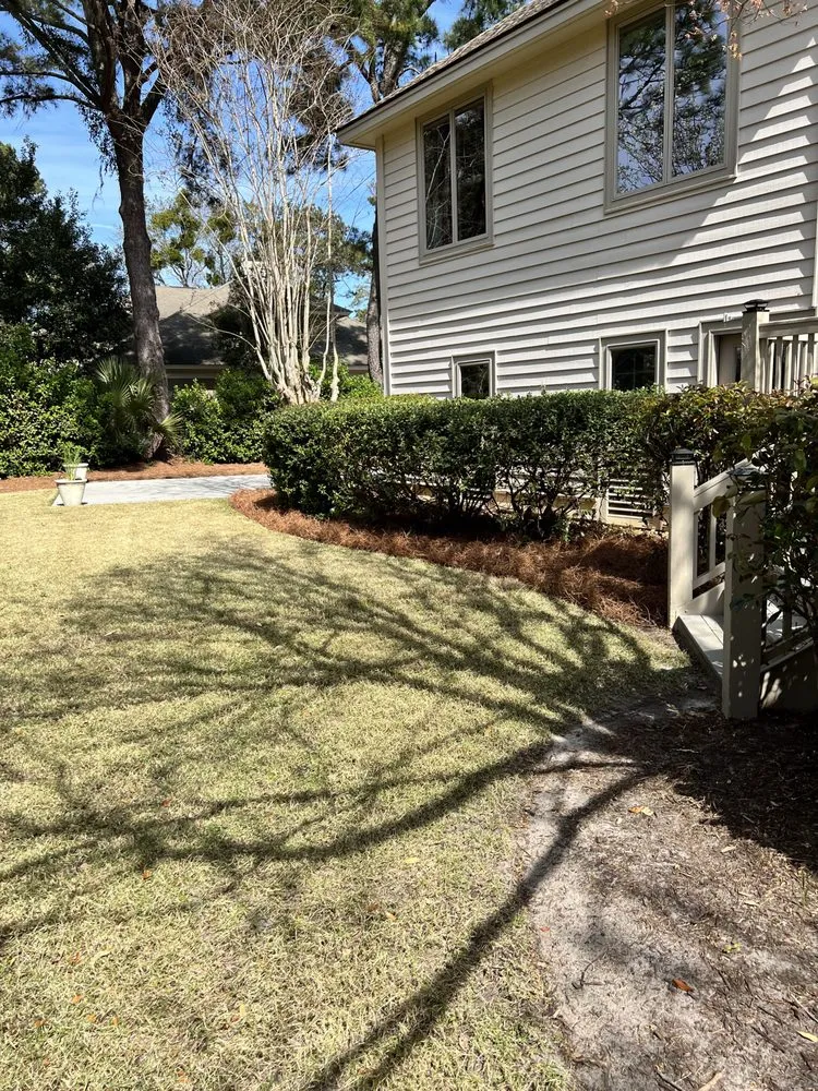 Trusted landscaping services for residential properties in Ridgeland, SC by Pro Vision Landscape