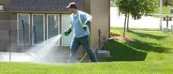 Professional outdoor landscaping in Adelanto, CA by Pro Weeds Control