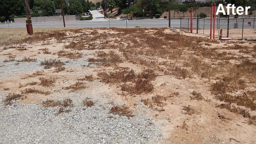 Professional garden landscaping in Adelanto, CA - Pro Weeds Control