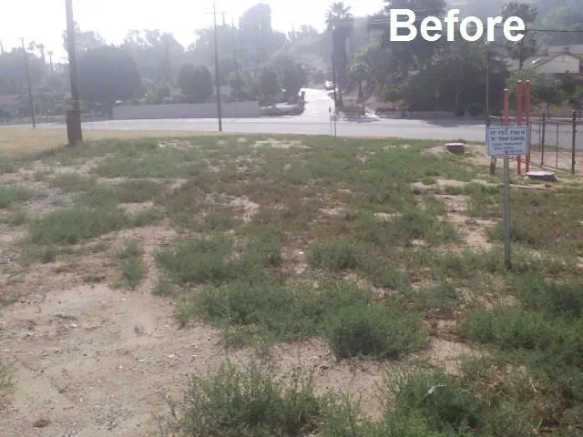Local landscape design in Adelanto, CA - Pro Weeds Control