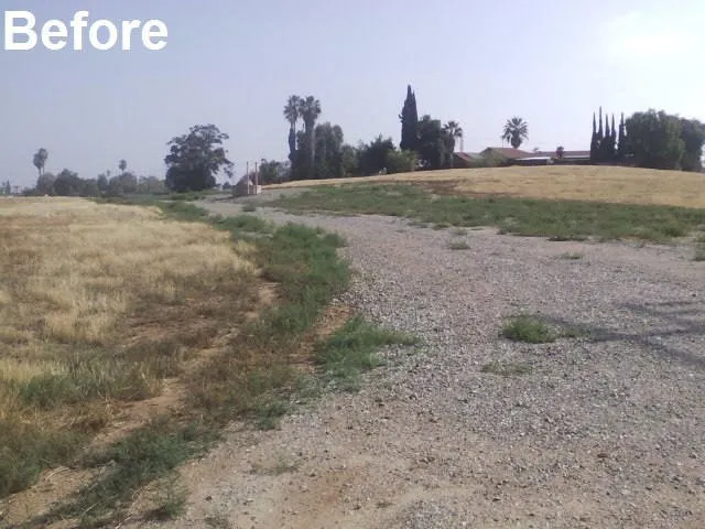 Reliable yard maintenance near you across Adelanto, CA - Pro Weeds Control