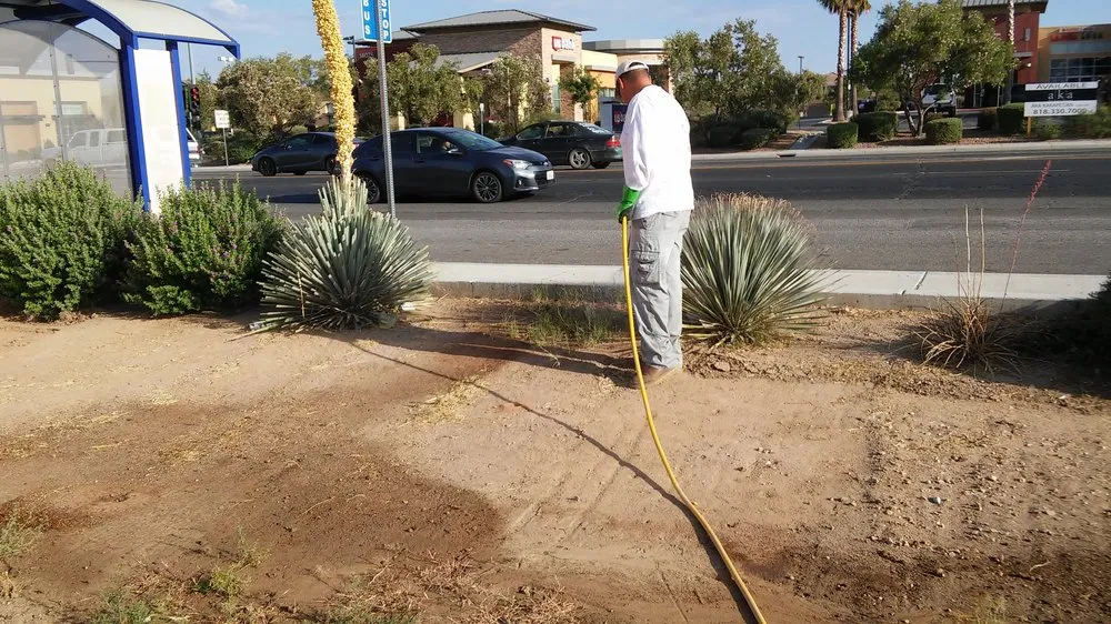 Affordable lawn care service near you across Adelanto, CA - Pro Weeds Control