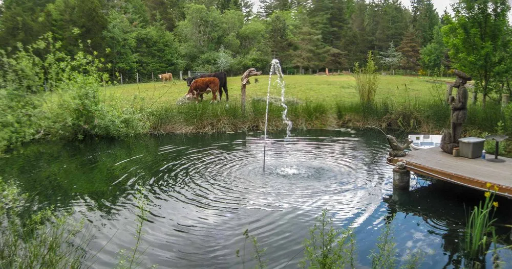 Custom landscaping services in Port Orchard, WA by Pro-West Landscape