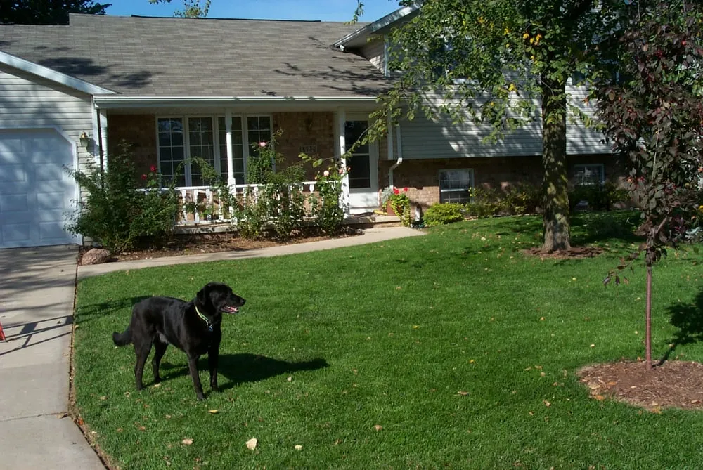 Affordable residential landscaping in Appleton, WI - Pro-X Systems