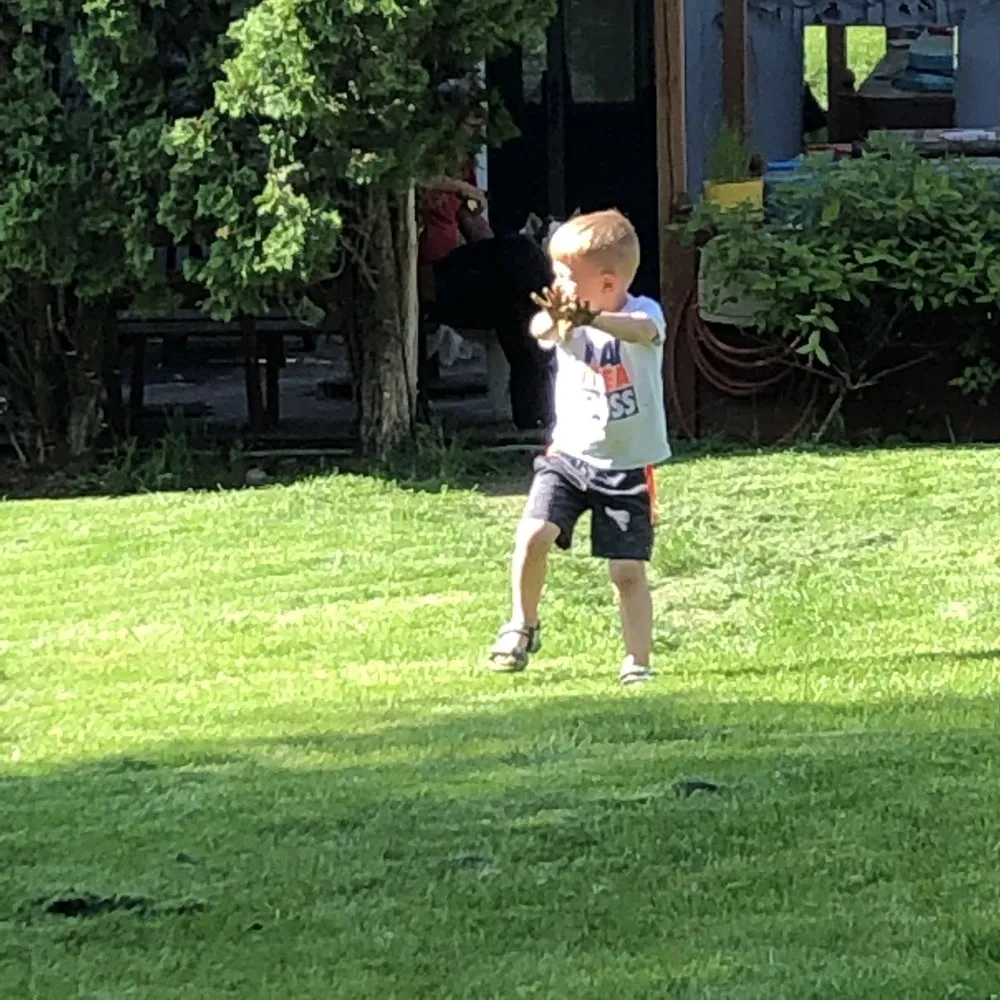 Professional yard cleanup service for year-round maintenance in Appleton, WI by Pro-X Systems