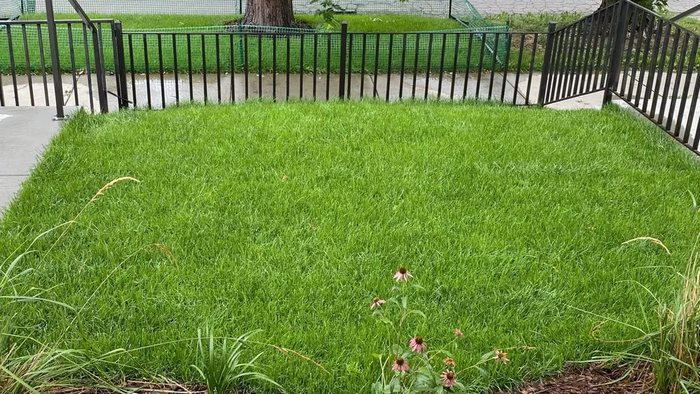 Custom residential landscaping in Denver, CO by Pro Yard & Landscaping