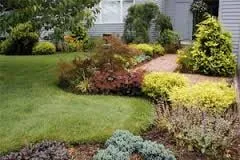 Trusted yard maintenance in La Habra, CA - Pro1day