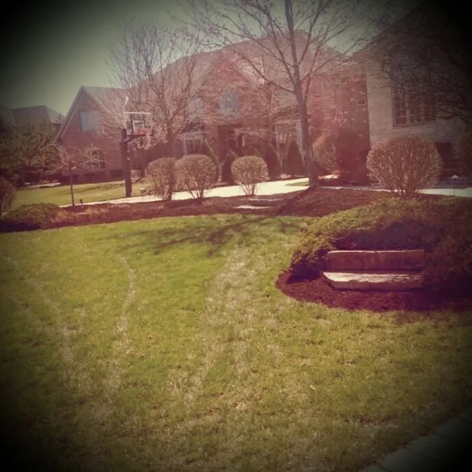 Local residential landscaping for beautiful yards in Bolingbrook, IL by Proa Landscaping