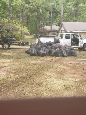 Proact Lawn Care Logo