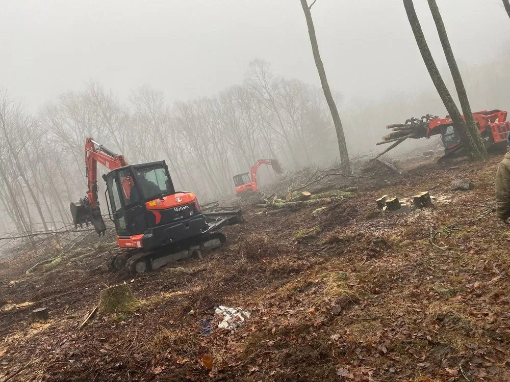 Professional landscape installation in Wurtsboro, NY by Problem Properties