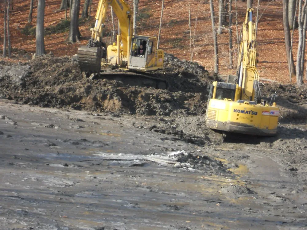 Custom yard maintenance in Wurtsboro, NY - Problem Properties