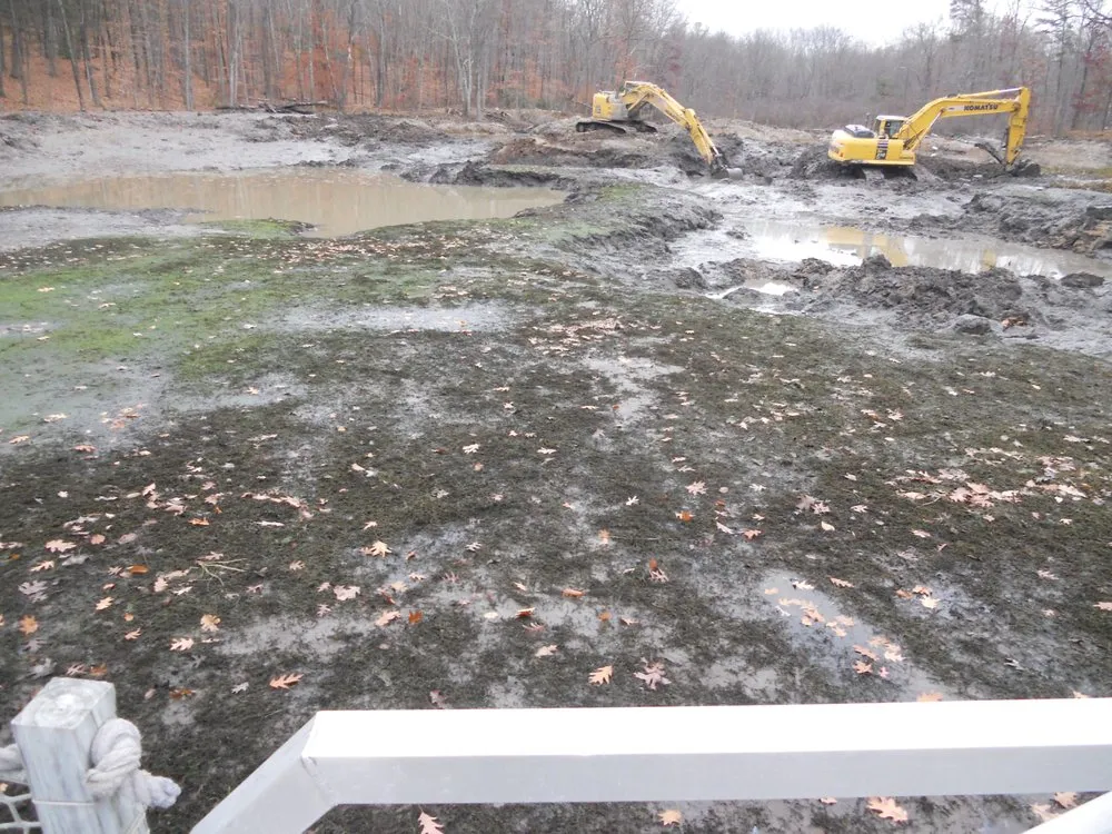 Trusted residential landscaping in Wurtsboro, NY - Problem Properties