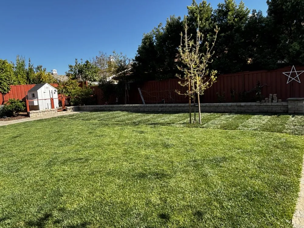 Local lawn mowing service experts serving Dublin, CA - ProCare Landscape Services