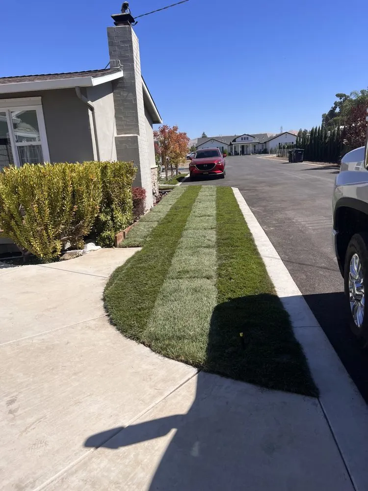 Custom outdoor landscaping for residential properties across Dublin, CA - ProCare Landscape Services