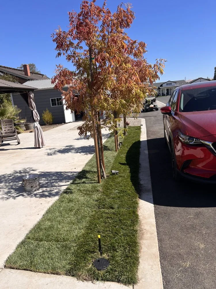Expert landscape installation for beautiful yards in Dublin, CA by ProCare Landscape Services