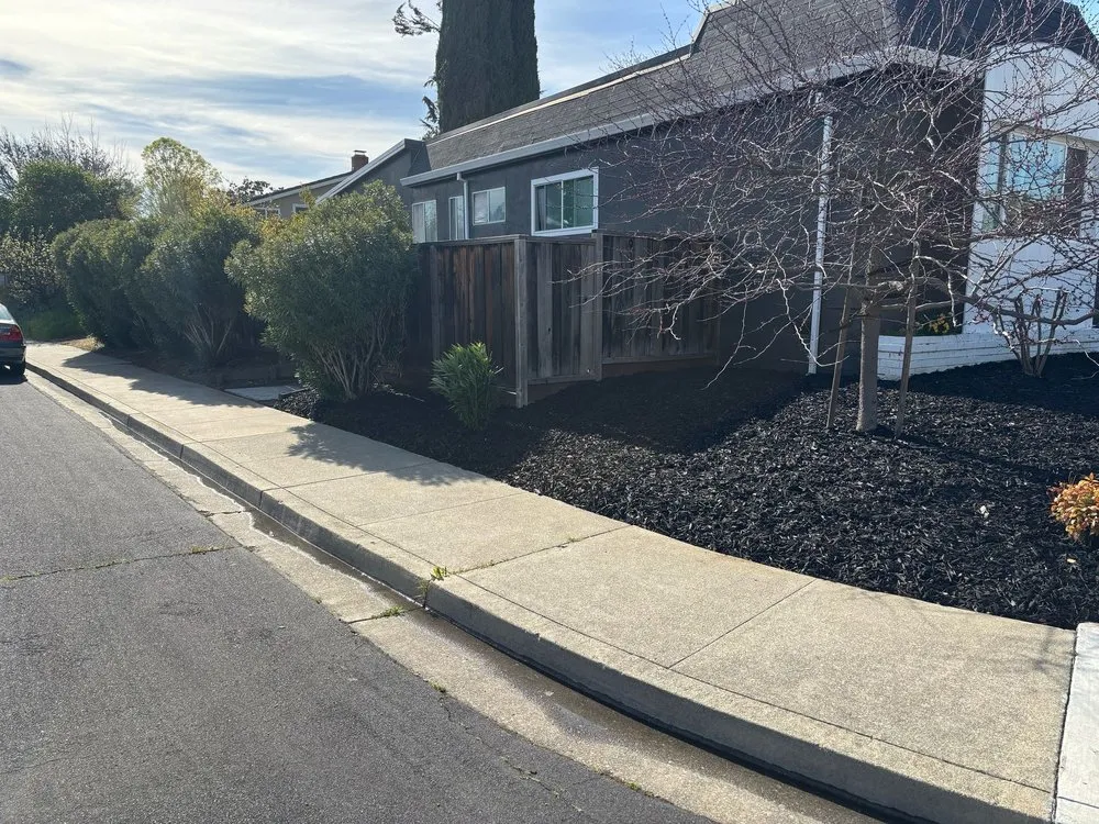 Professional residential landscaping with custom design across Dublin, CA - ProCare Landscape Services