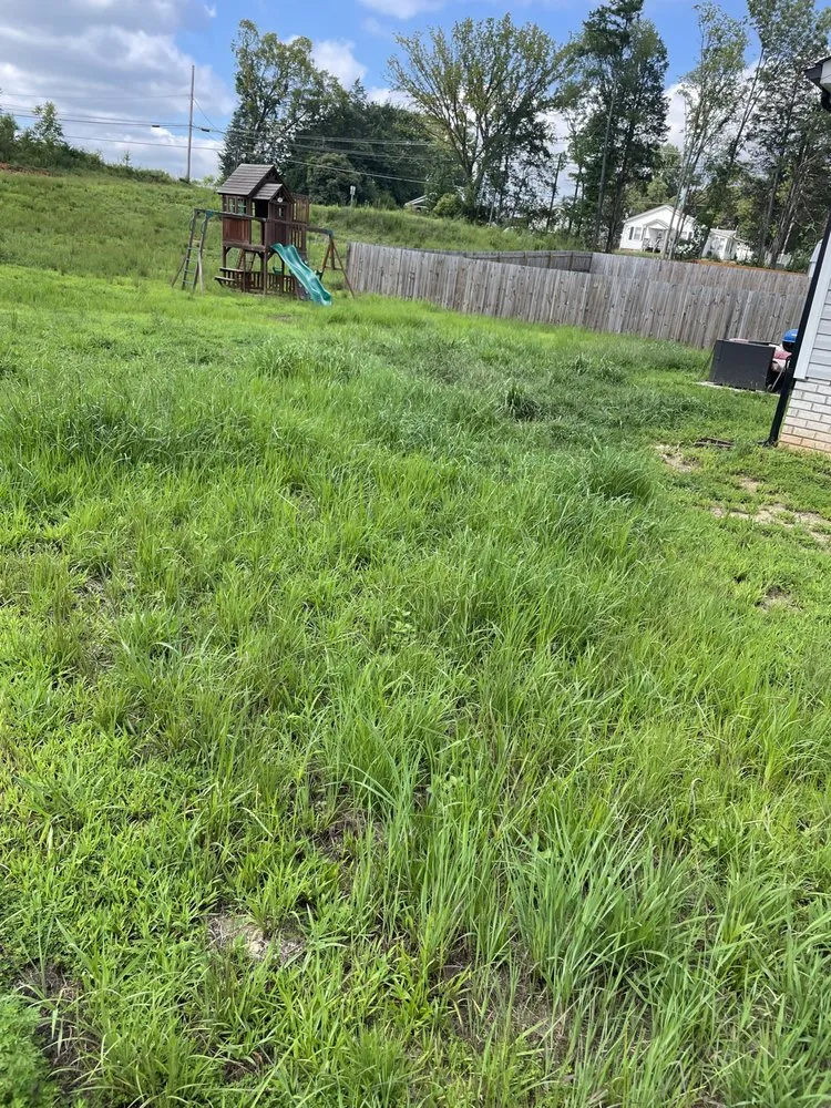 Professional yard cleanup service for outdoor upgrades across New London, NC - ProCare Landscape Solutions