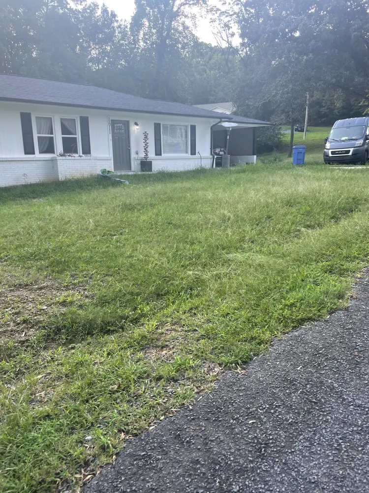 Local lawn care service for residential properties in New London, NC by ProCare Landscape Solutions