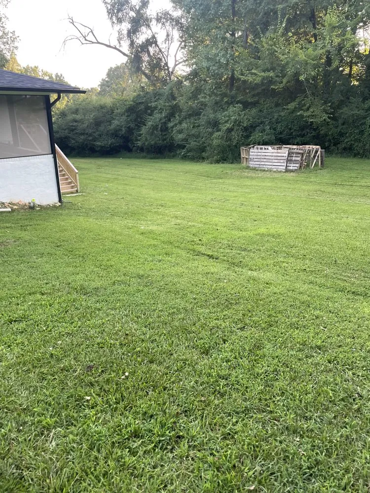 Reliable outdoor landscaping experts serving New London, NC - ProCare Landscape Solutions