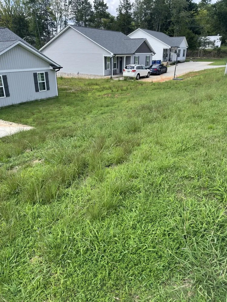 Professional yard cleanup service experts serving New London, NC - ProCare Landscape Solutions