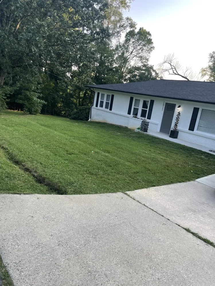 Professional landscaping services in New London, NC - ProCare Landscape Solutions