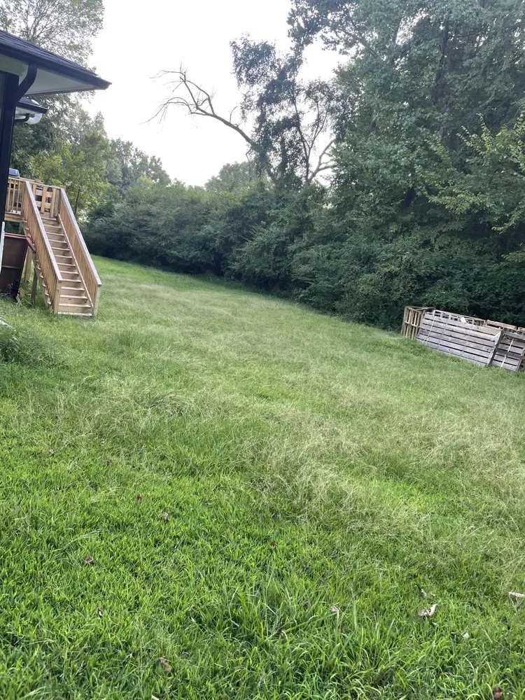 Expert landscape installation experts serving New London, NC - ProCare Landscape Solutions