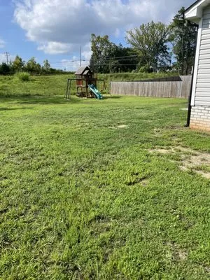 ProCare Landscape Solutions Logo