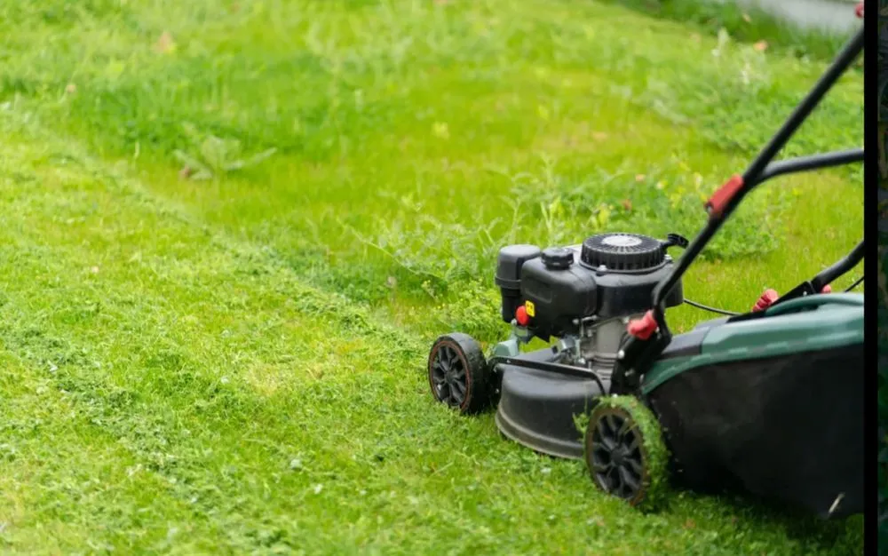 Local lawn care service for homes across Collinsville, IL - ProCare Lawn Solutions