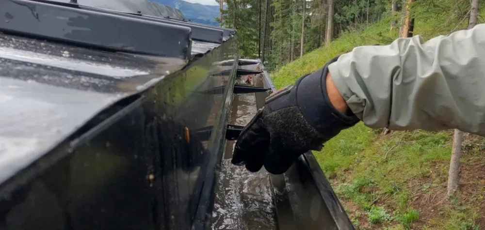 Top-rated yard cleanup service in Collinsville, IL - ProCare Lawn Solutions