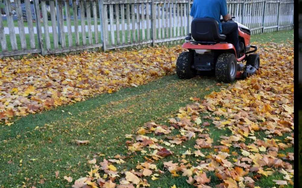 Top-rated garden landscaping for year-round maintenance across Collinsville, IL - ProCare Lawn Solutions