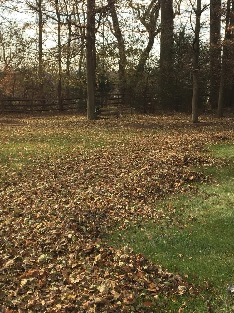 Custom lawn mowing service for beautiful yards in West Chester, PA by Procare Property Services