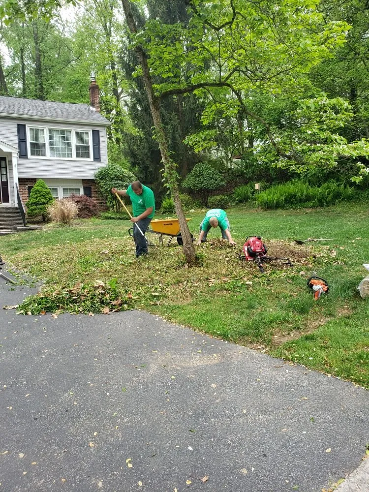 Local landscaping services for outdoor upgrades in West Chester, PA by Procare Property Services
