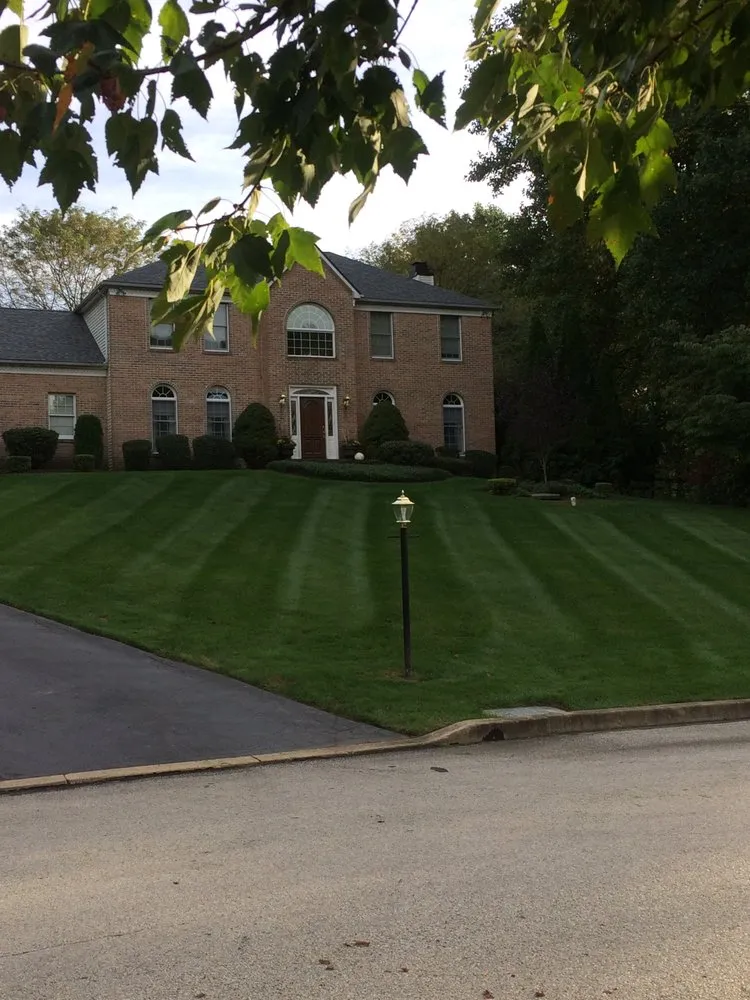 Expert lawn care service for year-round maintenance across West Chester, PA - Procare Property Services