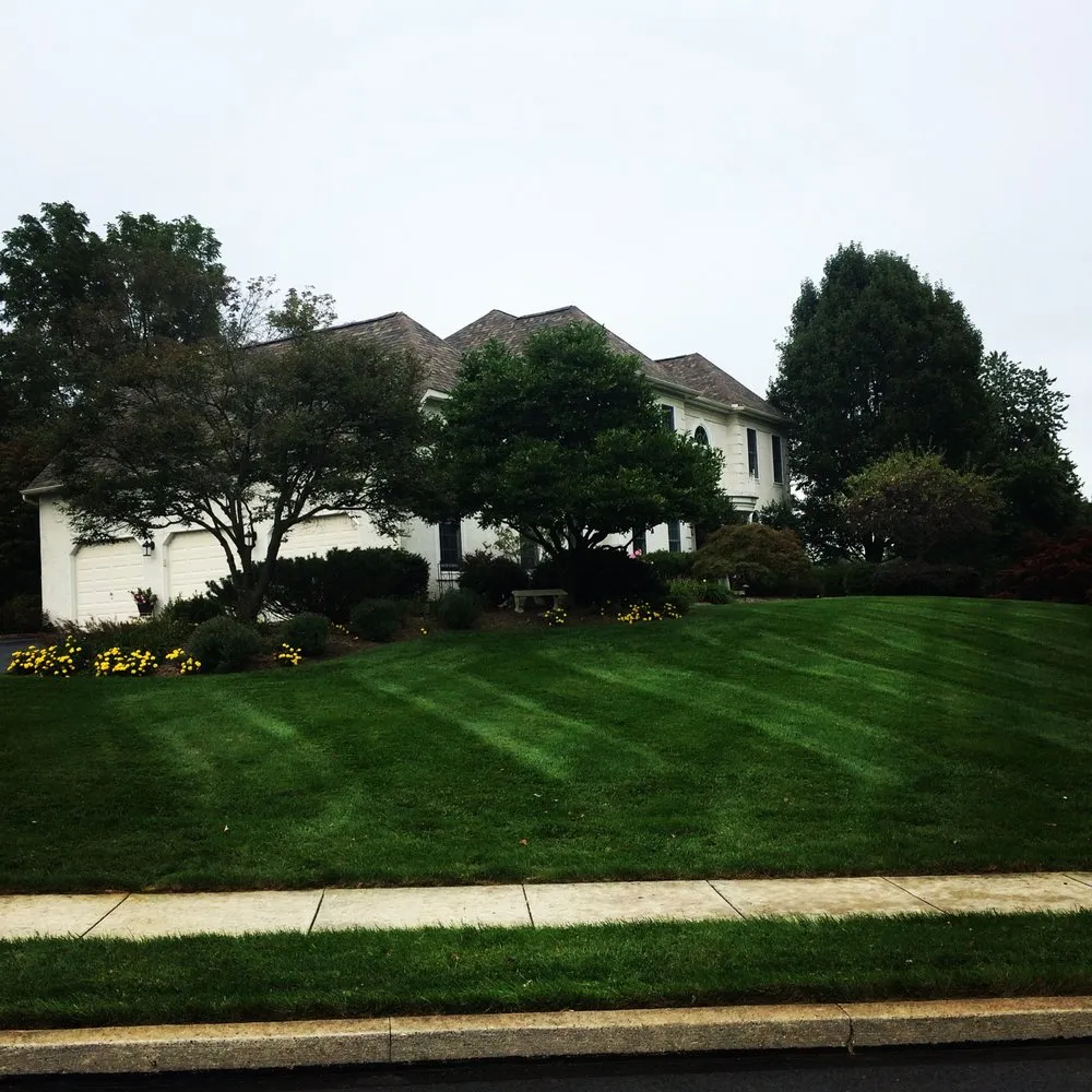 Affordable lawn care service in West Chester, PA by Procare Property Services