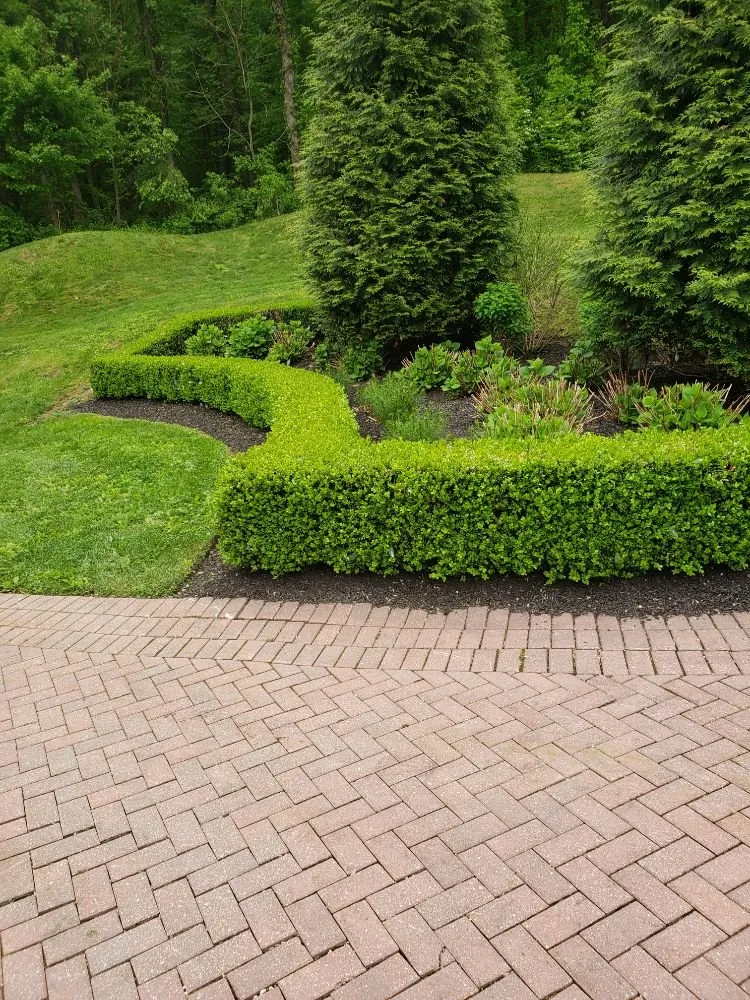Custom landscaping services for outdoor upgrades across West Chester, PA - Procare Property Services