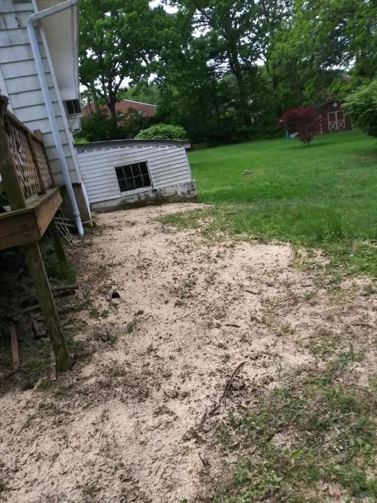 Local landscape design in West Chester, PA by Procare Property Services