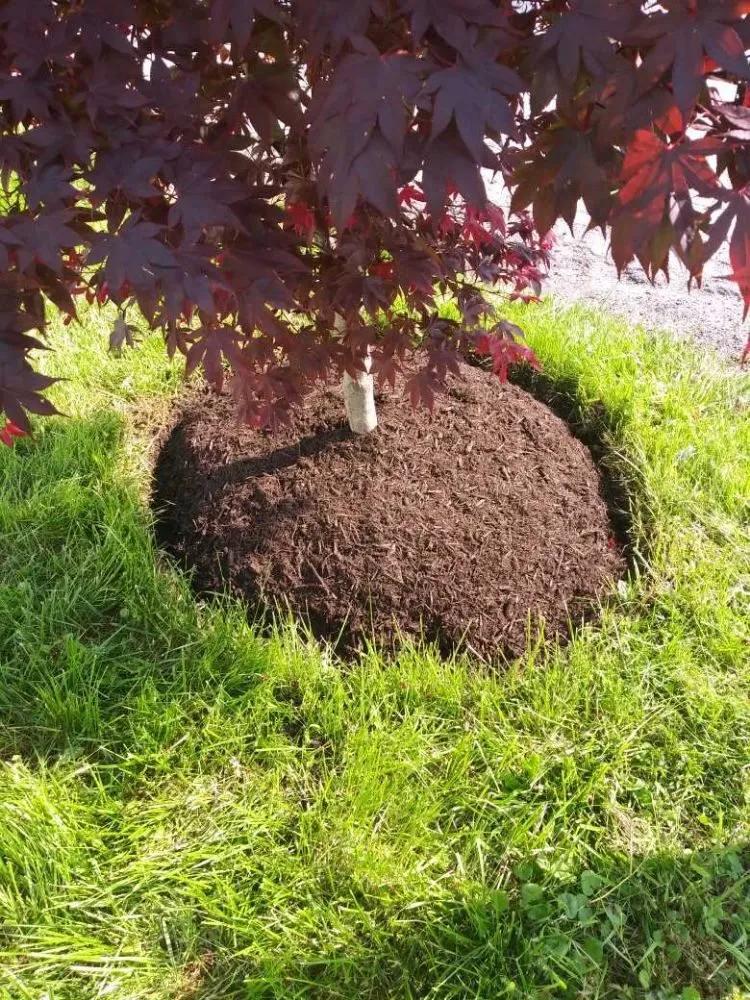 Reliable residential landscaping in West Chester, PA by Procare Property Services