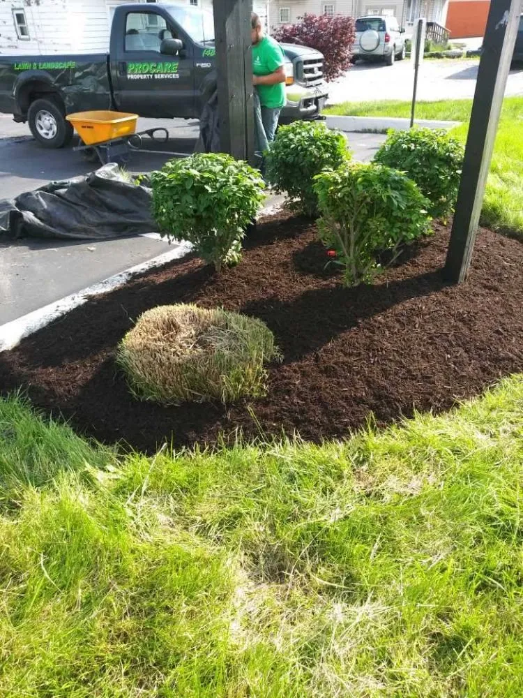 Top-rated landscape design in West Chester, PA - Procare Property Services