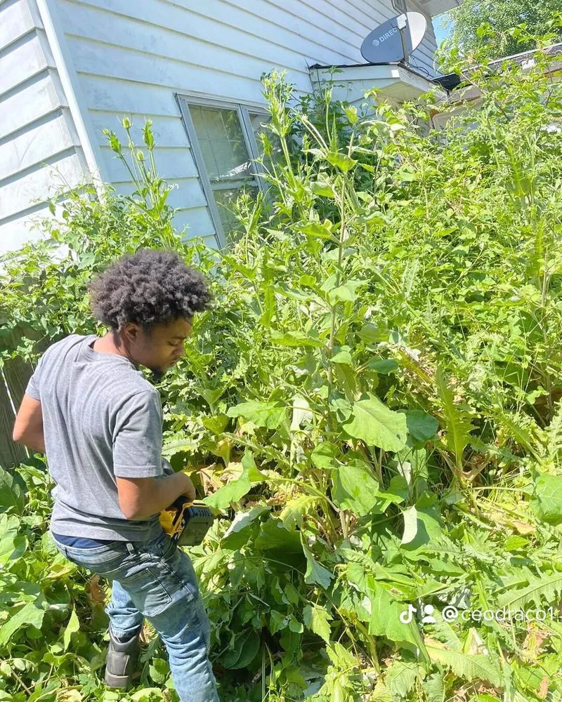 Expert residential landscaping in Columbus, OH by ProCleaning