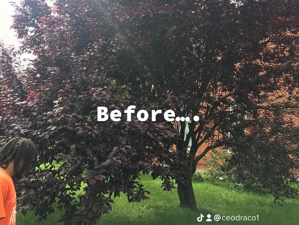 Reliable residential landscaping for homes across Columbus, OH - ProCleaning