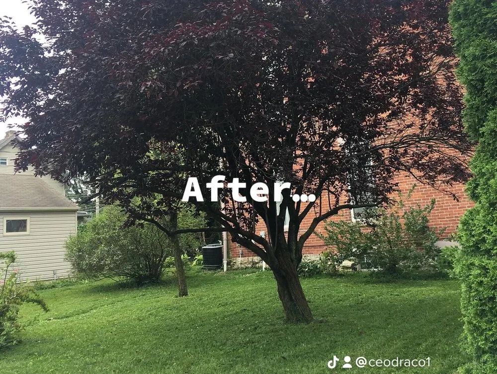 Trusted landscape design in Columbus, OH by ProCleaning