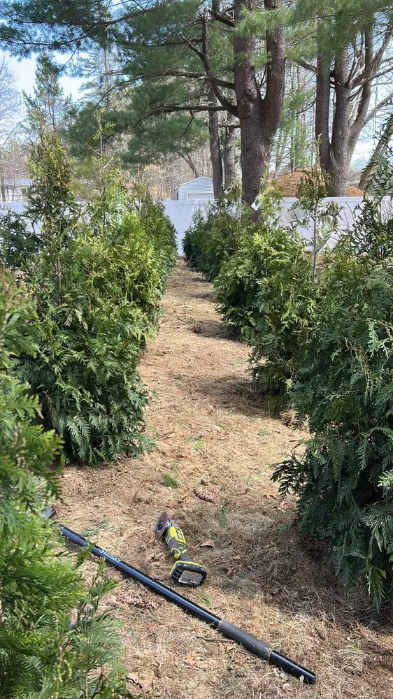 Expert residential landscaping experts serving Framingham, MA - Procopio Landscaping & Designer