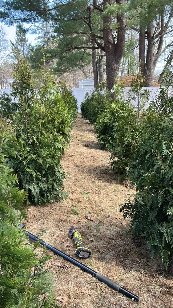 Trusted landscaping services for outdoor upgrades in Framingham, MA by Procopio Landscaping & Designer