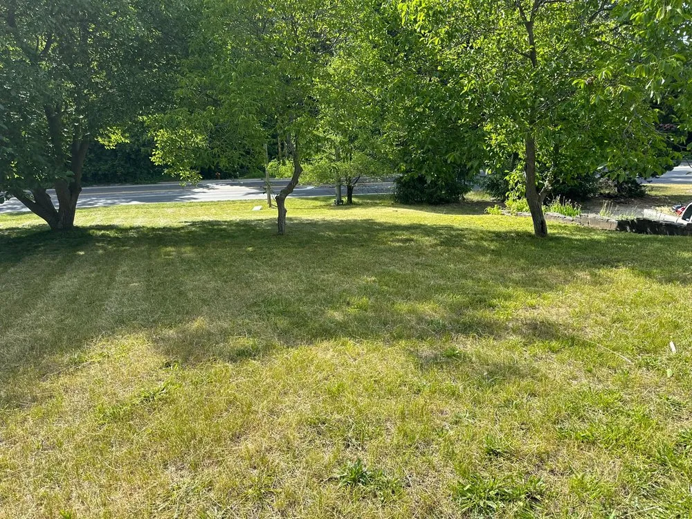 Custom landscape design experts serving Bear Lake, MI - ProCraft Home Services