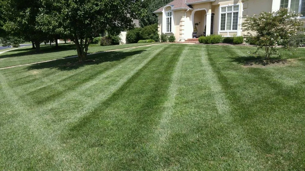 Top-rated residential landscaping in Springfield, MO - Procter's Pride
