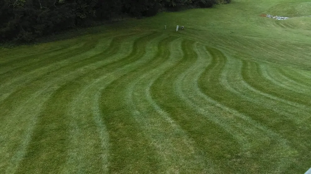 Affordable outdoor landscaping experts serving Springfield, MO - Procter's Pride