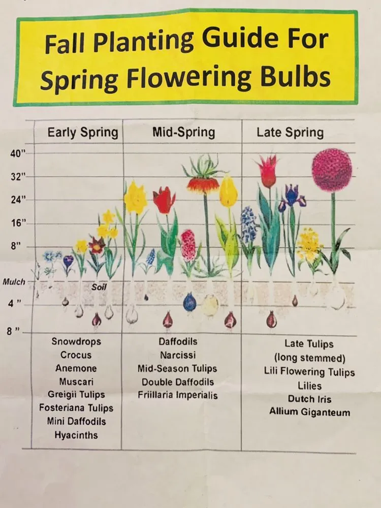 Reliable landscape installation in Oklahoma City, OK by ProCurb Landscaping