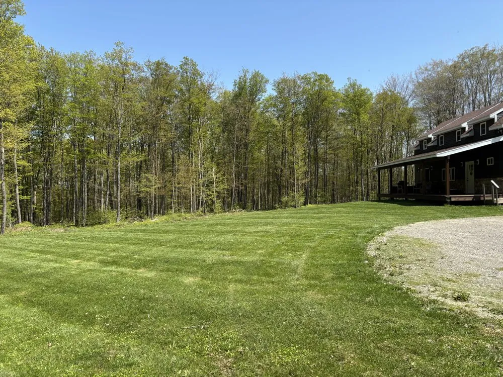 Top-rated residential landscaping experts serving Springville, NY - ProCut Lawncare