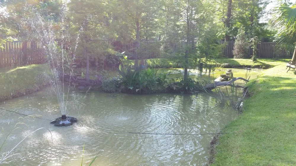 Custom yard cleanup service in Mobile, AL by Procut Management