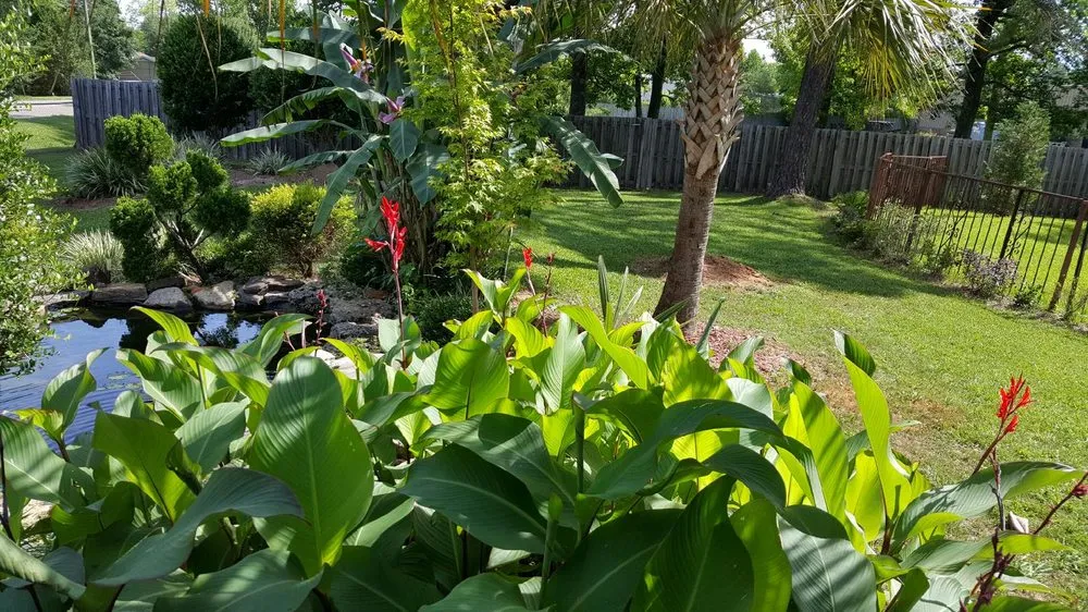 Trusted yard cleanup service for beautiful yards across Mobile, AL - Procut Management